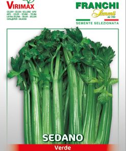 Сортови семена за Целина дръжкова Паскал – Хрупкавост, аромат и здраве