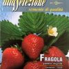 Семена за Ягоди Четири сезона – Сладка реколта през целия сезон