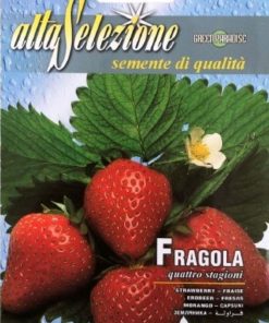 Семена за Ягоди Четири сезона – Сладка реколта през целия сезон