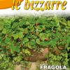 Семена за Ягоди каскадни Атила – Ароматна каскада през целия сезон