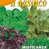 Семена за Босилек Микс – Ароматен взрив и разнообразие за вашата кухня!