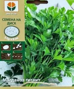 Сортови семена за Магданоз Гигант на дискове – Свежест и аромат без никакво усилие!