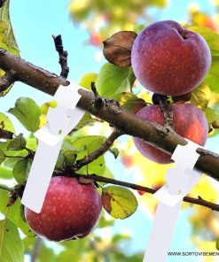 Етикет за връзване (Tyvek) 220x17 mm – Неразрушима идентификация