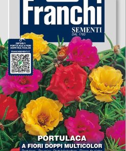 Сортови семена за Калдъръмче кичесто микс – Огнено слънце за Вашата градина!
