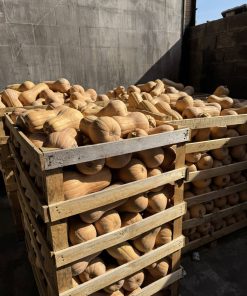 Тиква Matilda F1 (Матилда F1) – Максимална сладост