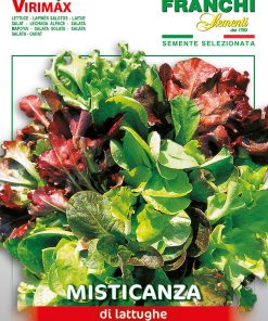 Семена за Салата Микс – Феерия от вкусове, текстури и цветове