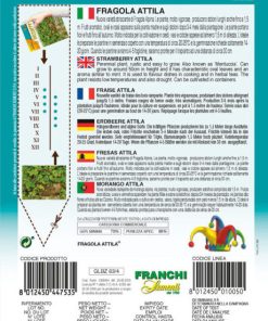 Семена за Ягоди каскадни Атила – Ароматна каскада през целия сезон