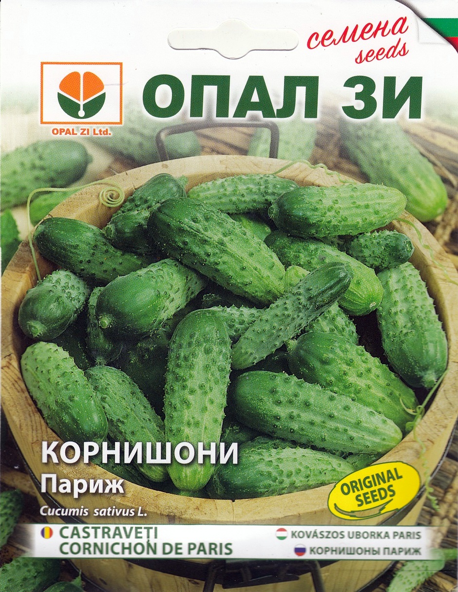 Сортови семена за Корнишони Париж – Класическата хрупкавост на френската селекция!