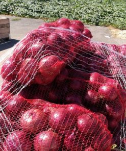 Червен Лук Monastrell F1 (Монастрел F1) – Наситен цвят и отлична трайност