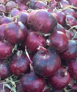 Червен Лук Monastrell F1 (Монастрел F1) – Наситен цвят и отлична трайност