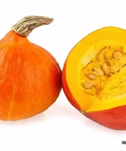 Тиква Orange Summer F1 (Оранж Съмър F1) – Ранен добив