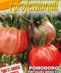 Семена за Домати Португалски F1 – Гигантски, вкусни и устойчиви плодове!