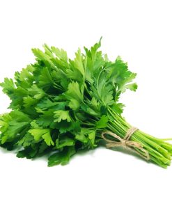 Сортови семена за магданоз