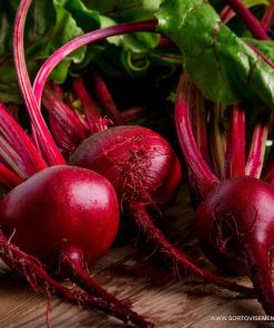 Сортови семена за Салатно цвекло Детройт 2 – Световният стандарт за качество и вкус