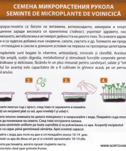 Рукола – семена за микрорастения – Пикантност и суперсили на вашия прозорец