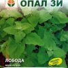 Сортови семена за Лобода зелена – Древната суперхрана на българската градина