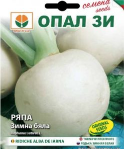 Сортови семена за Ряпа Зимна бяла – Снежна свежест и здраве от градината
