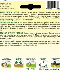 Сортови семена за Ряпа Зимна черна – Класическият зимен „лечител“