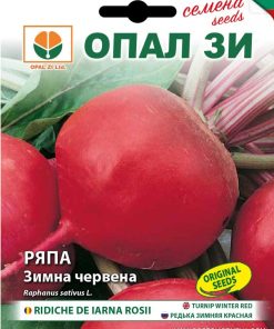 Сортови семена Ряпа Зимна червена – Здраве в наситено червен цвят