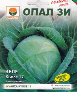 Сортови семена за Зеле Кьосе 17 – Ненадмината класика за зимата