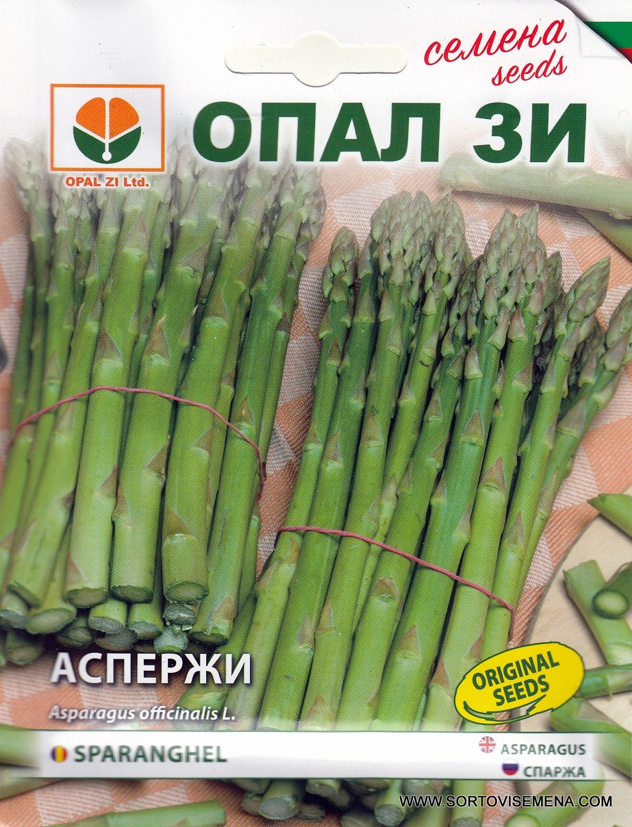 Сортови семена за Аспержи – Кралският зеленчук