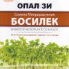 Босилек – семена за микрорастения – Кралският аромат във всяко листенце