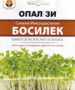 Босилек – семена за микрорастения – Кралският аромат във всяко листенце