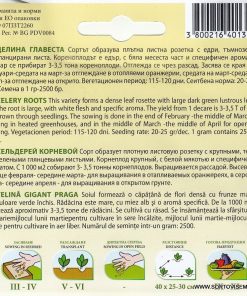 Сортови семена за Целина Главеста – Ароматният гигант на зимната трапеза