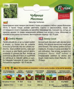 Сортови семена за Чубрица Местна – Ароматът на българската трапеза