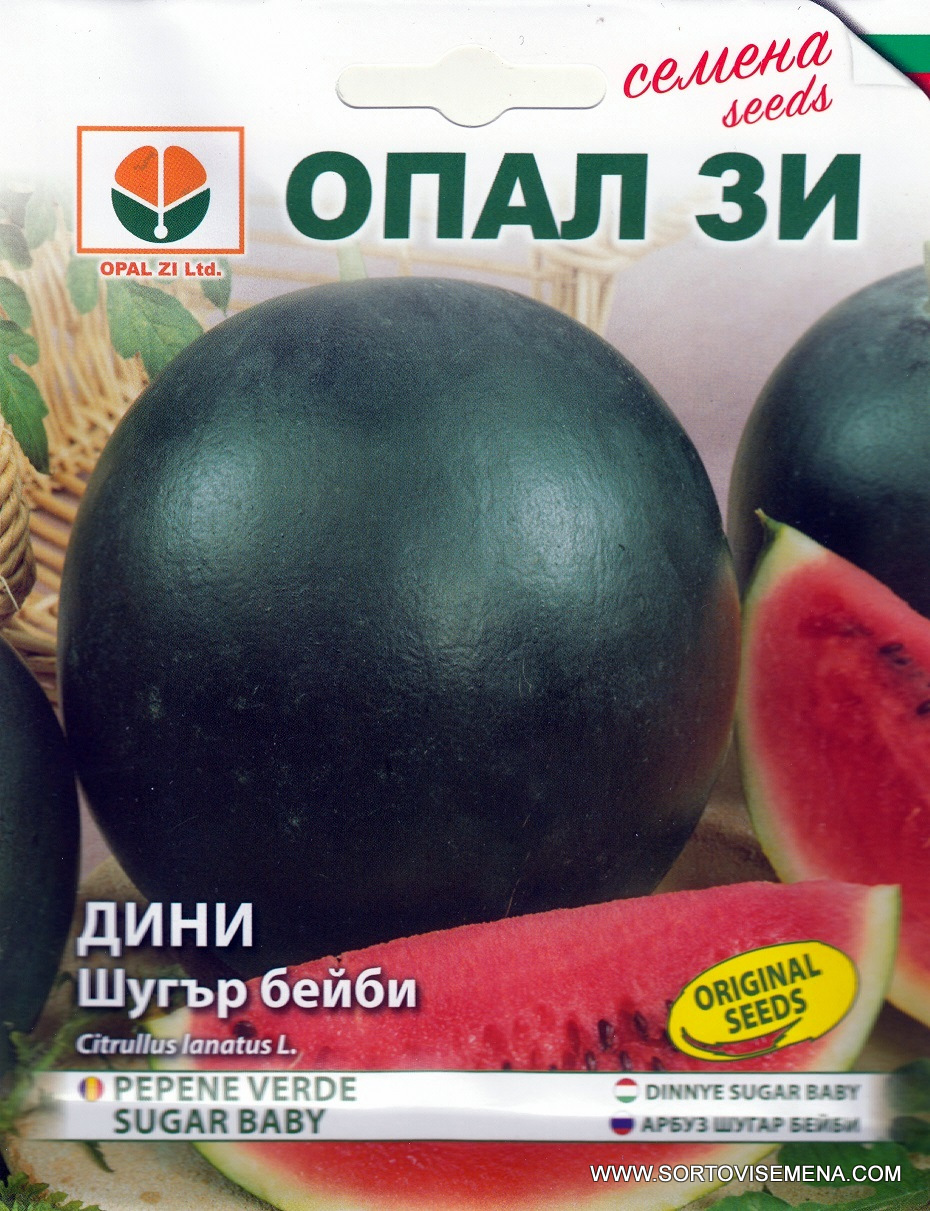 Сортови семена за Дини Шугър бейби – Ранна захарна наслада