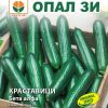 Сортови семена за Краставици Бета алфа – Традиционният избор за свежи салати