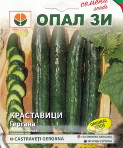 Сортови семена за Краставици Гергана – Гордостта на българската селекция