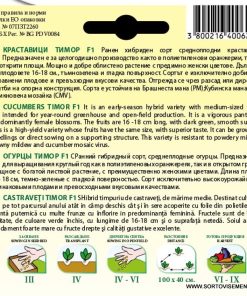Сортови семена за Краставици Герлинде F1 (Тимор) – Професионалният избор за целогодишен добив!