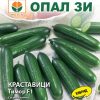 Сортови семена за Краставици Герлинде F1 (Тимор) – Професионалният избор за целогодишен добив!