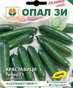 Сортови семена за Краставици Герлинде F1 (Тимор) – Професионалният избор за целогодишен добив!