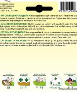 Сортови семена за Краставици Крокодилки – Сочна хрупкавост и обилен добив