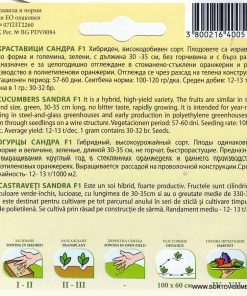 Сортови семена за Краставици Сандра F1 – Класическият избор за богата реколта