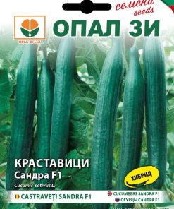 Сортови семена за Краставици Сандра F1 – Класическият избор за богата реколта