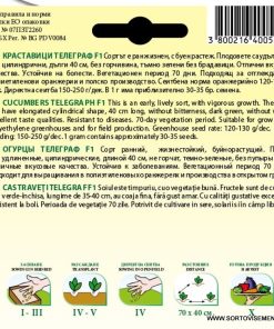 Сортови семена за Краставици Телеграф F1 – Гигантът сред салатните сортове