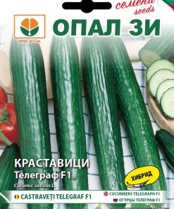 Сортови семена за Краставици Телеграф F1 – Гигантът сред салатните сортове