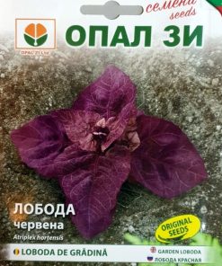 Сортови семена за Лобода червена – Красота и здраве