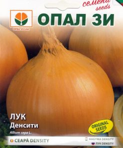 Сортови семена за Лук Денсити – Шампионът по съхранение