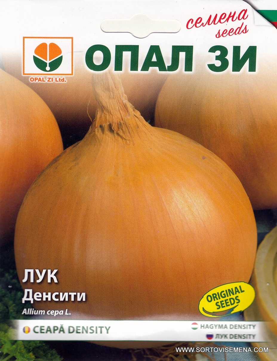 Сортови семена за Лук Денсити – Шампионът по съхранение