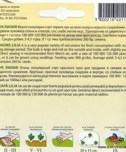 Сортови семена за Лук Лилия – Виолетовото бижу на вашата трапеза