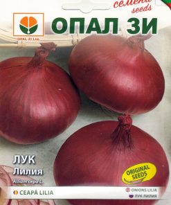 Сортови семена за Лук Лилия – Виолетовото бижу на вашата трапеза
