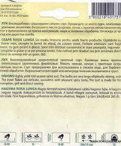 Сортови семена за Лук Роса Лунга – Италиански стил и изтънчен вкус
