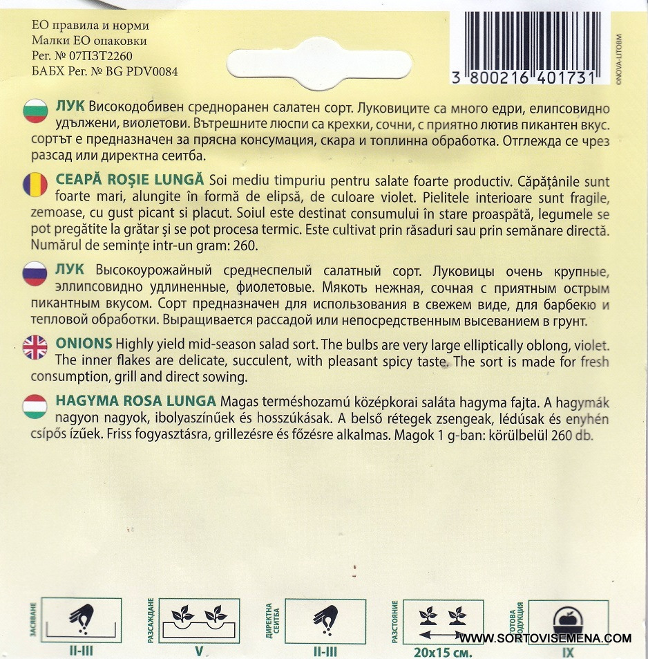 Сортови семена за Лук Роса Лунга – Италиански стил и изтънчен вкус