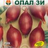 Сортови семена за Лук Роса Лунга – Италиански стил и изтънчен вкус