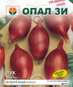 Сортови семена за Лук Роса Лунга – Италиански стил и изтънчен вкус