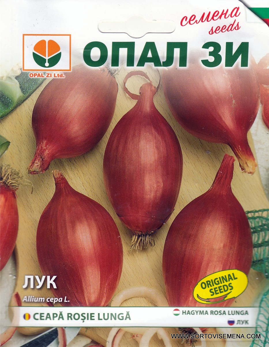 Сортови семена за Лук Роса Лунга – Италиански стил и изтънчен вкус